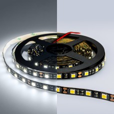 LUX Светодиодная лента 5050 60 LED (14.4W/M) 12V холодная 6000К ЧЕРНАЯ ОСНОВА